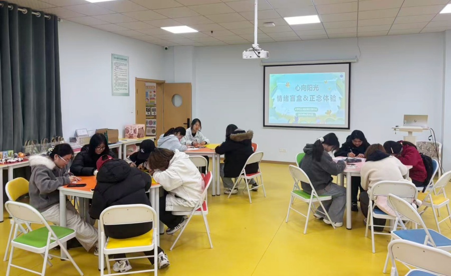 心向阳光：情绪盲盒与正念体验