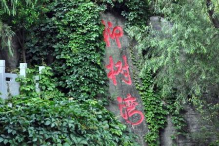点击查看原图