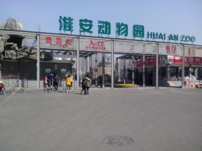 点击查看原图
